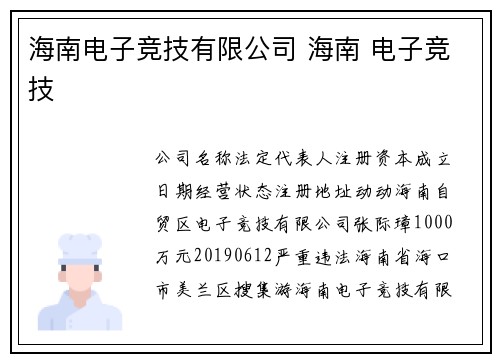 海南电子竞技有限公司 海南 电子竞技